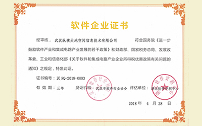 武汉市软件企业 